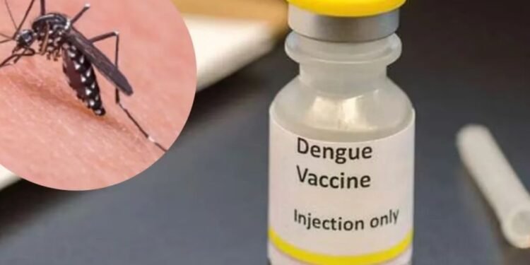 Vacuna contra el dengue: Lo que recomiendan los CDC