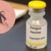 Vacuna contra el dengue: Lo que recomiendan los CDC