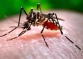 Gobierno crea gabinete contra el dengue, habilitará camas y ejecutará más operativos