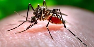 Gobierno crea gabinete contra el dengue, habilitará camas y ejecutará más operativos