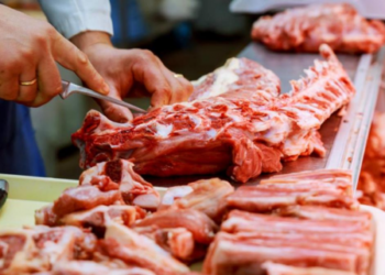 Critican la importación de carnes de donde hay “Vaca Loca” y “Fiebre Aftosa”