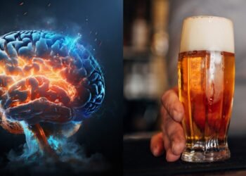 Estudio revela cuánto tarda el cerebro en recuperarse después de dejar el alcohol