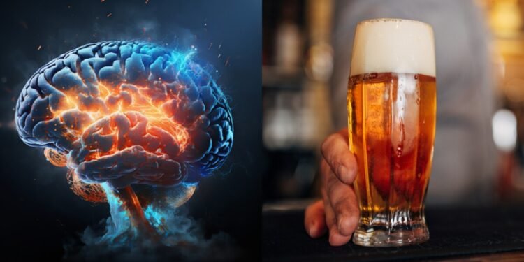 Estudio revela cuánto tarda el cerebro en recuperarse después de dejar el alcohol
