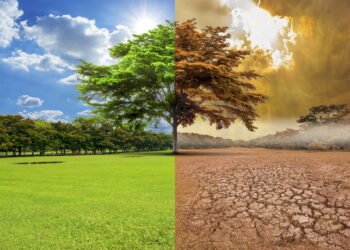 ONU advierte que los gobiernos van «a paso de tortuga» contra el cambio climático