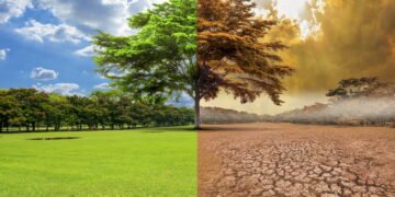 ONU advierte que los gobiernos van «a paso de tortuga» contra el cambio climático