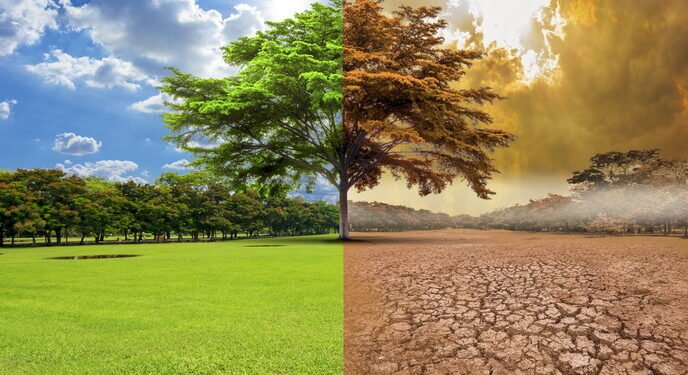 ONU advierte que los gobiernos van «a paso de tortuga» contra el cambio climático