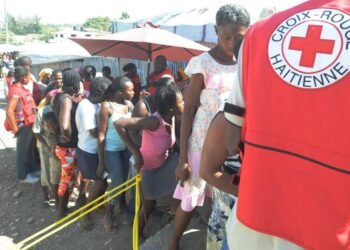 La Cruz Roja Internacional tendrá una delegación en Haití a partir de enero