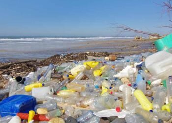 Buscan establecer cero desechos en los mares y costas dominicanas