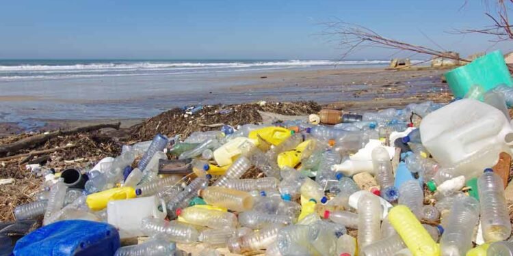 Buscan establecer cero desechos en los mares y costas dominicanas