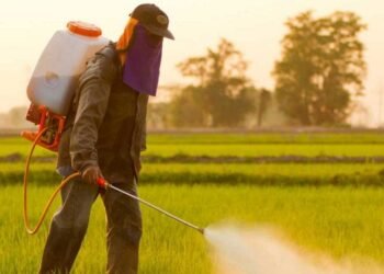 Expertos evalúan nuevas medidas fitosanitarias en Centroamérica y República Dominicana