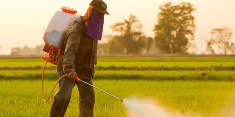 Expertos evalúan nuevas medidas fitosanitarias en Centroamérica y República Dominicana