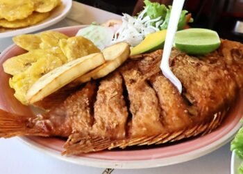 Boca Chica ha dejado de ser playa de los pobres