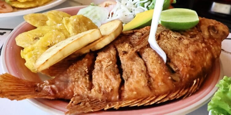 Boca Chica ha dejado de ser playa de los pobres