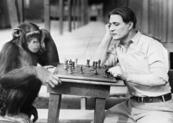 Sabías que “el ADN humano es 98% idéntico al  del chimpancé”