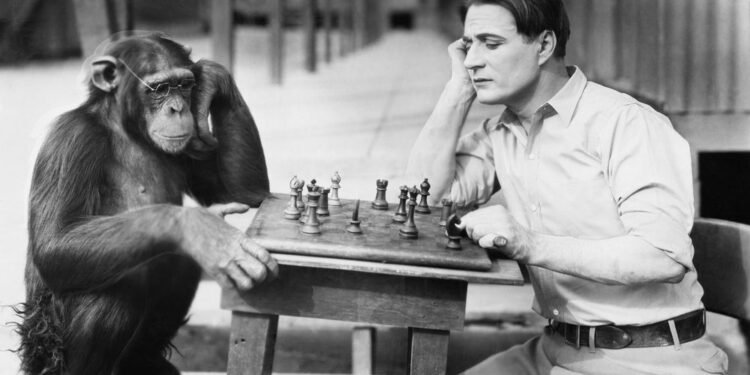 Sabías que “el ADN humano es 98% idéntico al del chimpancé”