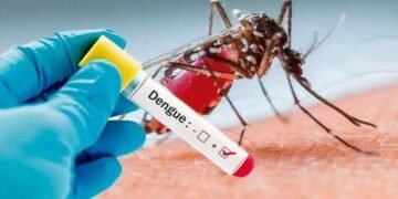 “El dengue mantiene un pico alto y no vislumbra una tendencia a la baja”