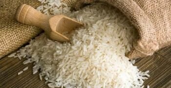 España y Tailandia buscan un tipo arroz apto para diabéticos y con resistencia climática