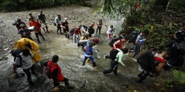 Más de 500.000 migrantes cruzaron la peligrosa selva del Darién en 2023 en su camino hacia Norteamérica