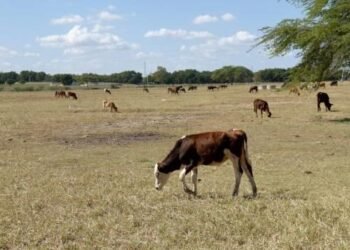 El 2023 ha sido el año más cálido de la historia, con récord de CO2 y sequía extrema