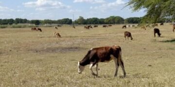 El 2023 ha sido el año más cálido de la historia, con récord de CO2 y sequía extrema