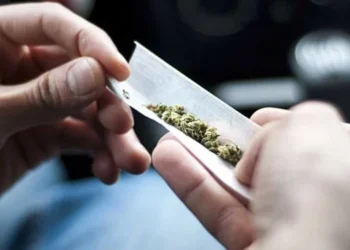 Cómo impacta el consumo de marihuana a la salud mental de los jóvenes