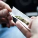 Cómo impacta el consumo de marihuana a la salud mental de los jóvenes