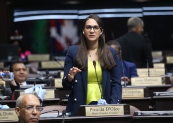 Diputada expresa preocupación por feminicidios en inicio del año y pide acción urgente para proteger víctimas