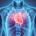 Datos curiosos sobre el corazón que debes conocer