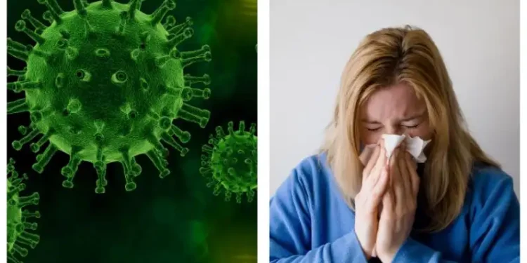 Todo lo que tienes que saber sobre los virus de la gripe