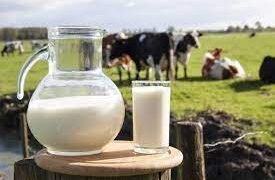La industria lechera dominicana aporta el 2 % al PIB y el 70 % de la demanda interna de leche.