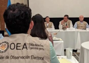 Observadores de la OEA hacen críticas a la compra de votos