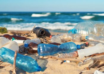 Buscan sensibilizar al sector turístico para reducir uso de plásticos en RD