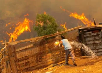 «De mi casa sólo pude sacar a los perros»: la pesadilla de una de las víctimas de los incendios en Chile