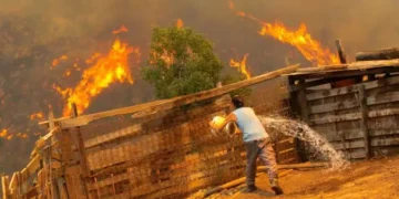 «De mi casa sólo pude sacar a los perros»: la pesadilla de una de las víctimas de los incendios en Chile