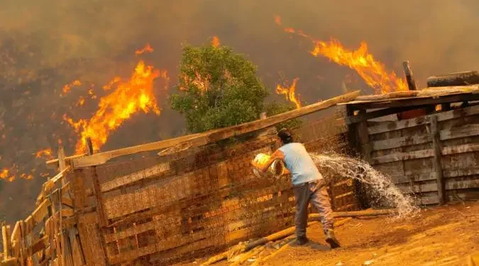 «De mi casa sólo pude sacar a los perros»: la pesadilla de una de las víctimas de los incendios en Chile