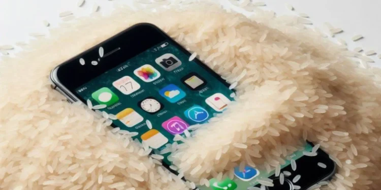 Apple recomienda evitar meter el iPhone en arroz si se moja y dejarlo secar al aire libre