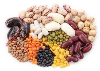 Según investigación: el consumo de legumbres disminuye un 23% el riesgo de desarrollar diabetes tipo 2