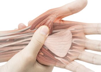 Datos sobre tu mano que debes conocer