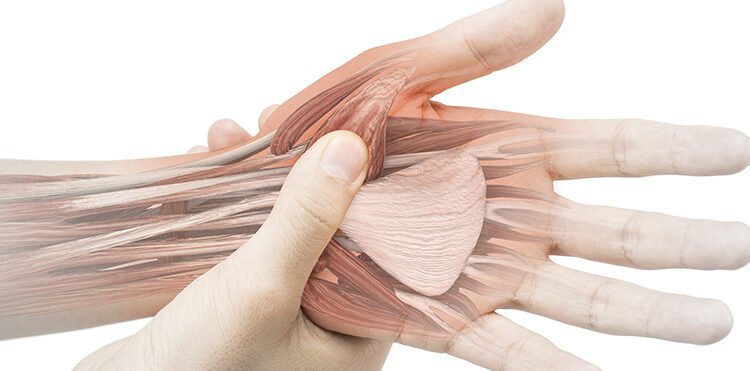 Datos sobre tu mano que debes conocer