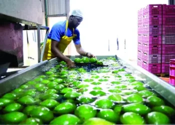 Cadena de frío, el pasaporte de los productores a mercados extranjeros