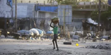Inseguridad alimentaria aguda afecta a casi la mitad de los haitianos, alerta la FAO