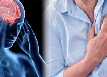 “El estrés es el depredador del siglo XXI”, según cardiólogo