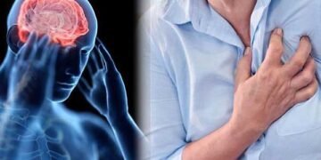 “El estrés es el depredador del siglo XXI”, según cardiólogo