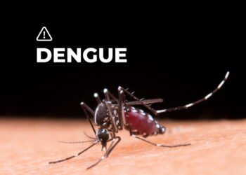 Epidemiólogo: “Hay un aumento demasiado considerado del dengue tipo tres y cuatro”