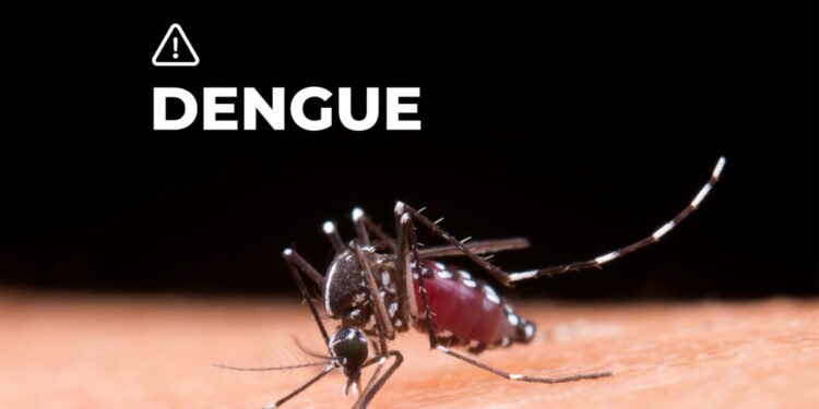 Epidemiólogo: “Hay un aumento demasiado considerado del dengue tipo tres y cuatro”