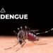 Epidemiólogo: “Hay un aumento demasiado considerado del dengue tipo tres y cuatro”
