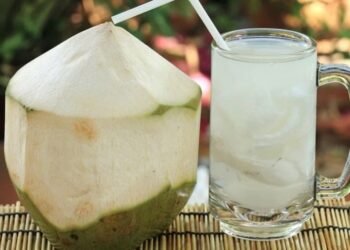 El coco y sus beneficios nutricionales