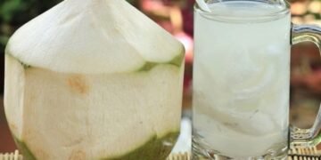 El coco y sus beneficios nutricionales