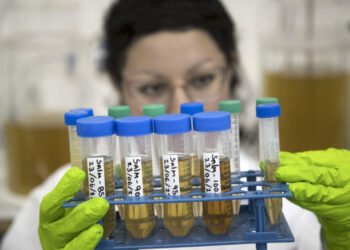 Usan orina humana como alternativa para crear fertilizantes