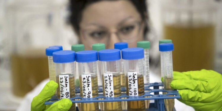 Usan orina humana como alternativa para crear fertilizantes